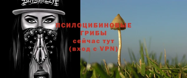 mix Алексеевка