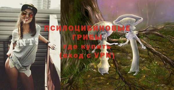 круглые Алзамай
