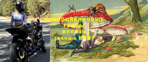 стаф Алексин
