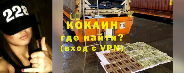 стаф Алексин