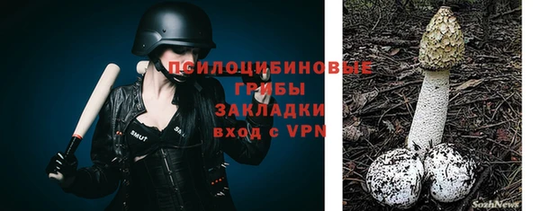 стаф Алексин