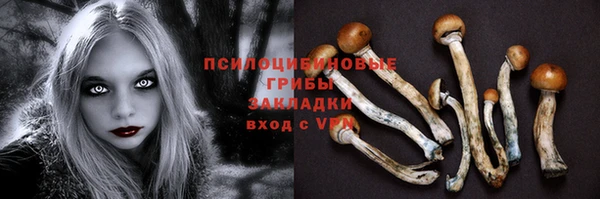 круглые Алзамай