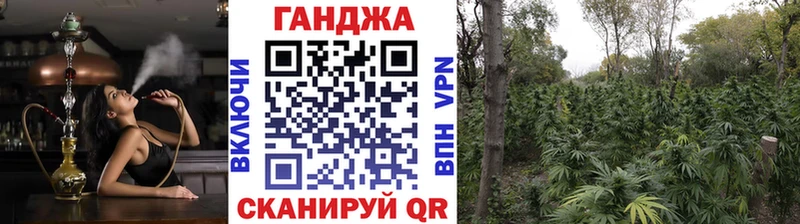 Шишки марихуана планчик  что такое наркотик  Зеленогорск 